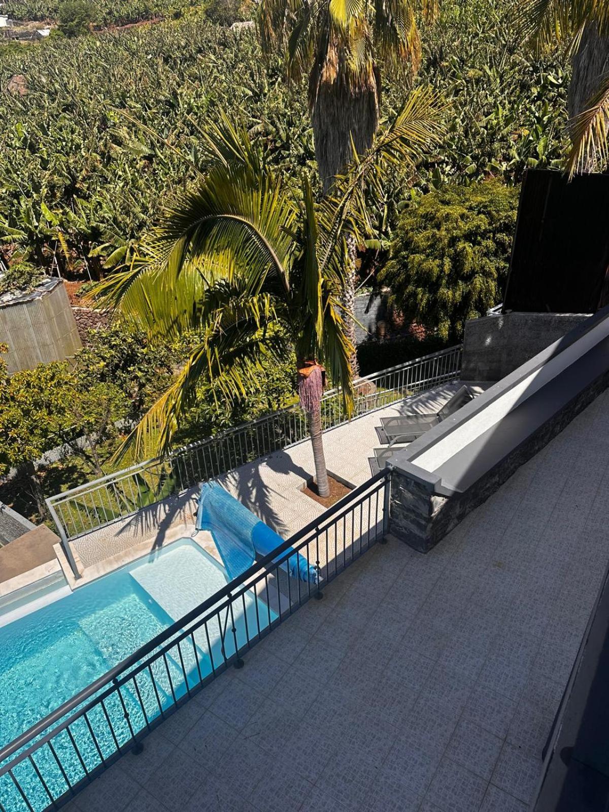 Villa Felicidade Arco da Calheta  Εξωτερικό φωτογραφία